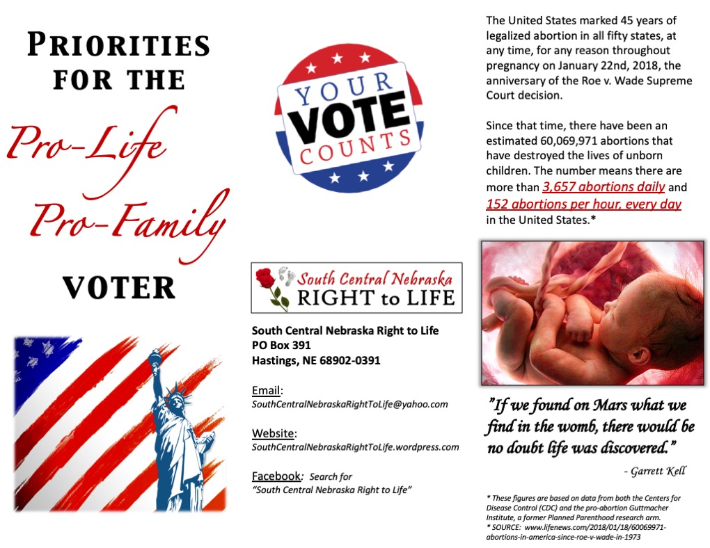 Pro-Life Voting Brochure - for the Web - page 1