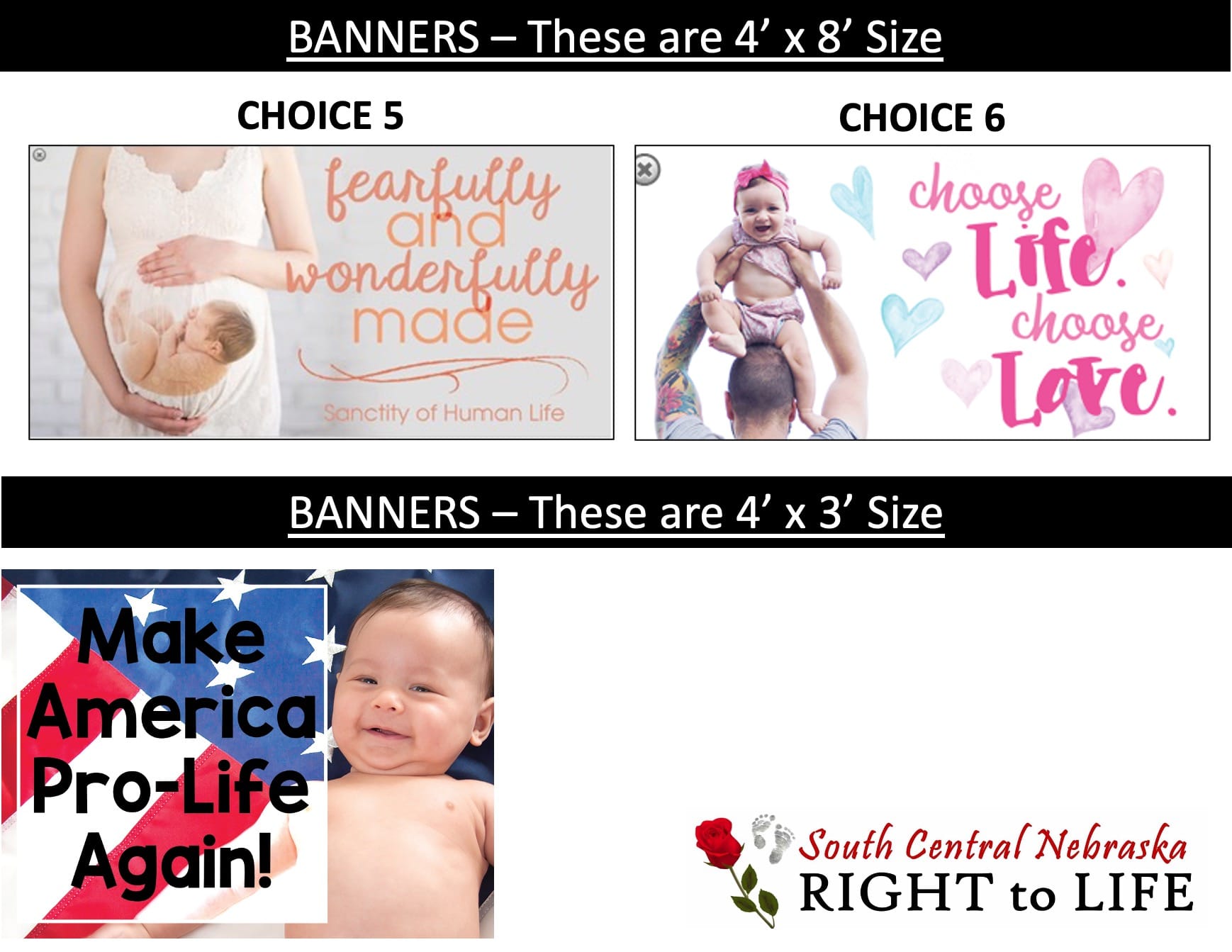 south central nebraska right to life banners available to use
