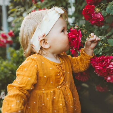 baby smelling a red rose